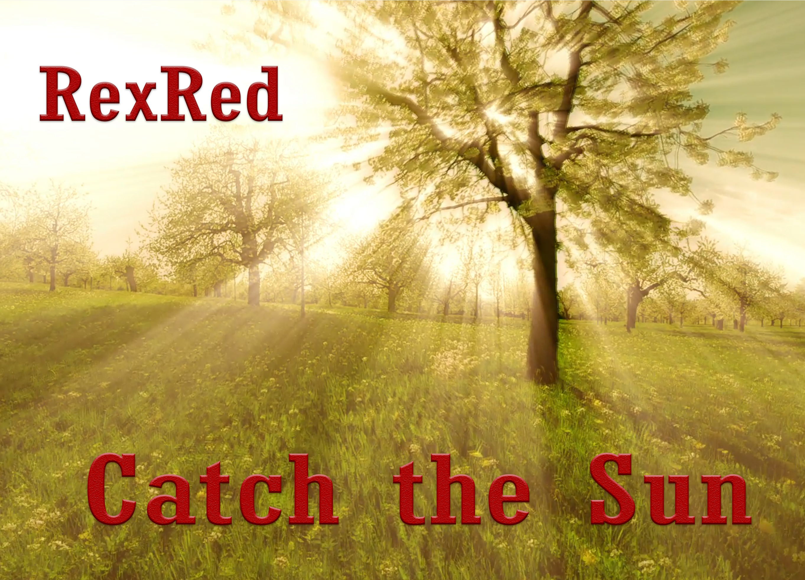 RexRed