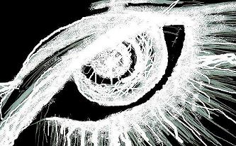 Cottonseed