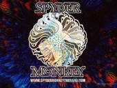 SPYDER MONKEY Profile Image
